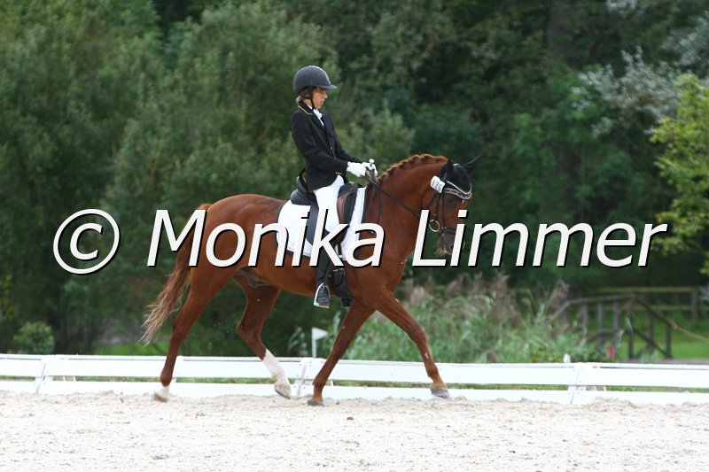 109M0085_Fruehlingstraum_Dressur L_Finale Franken.JPG